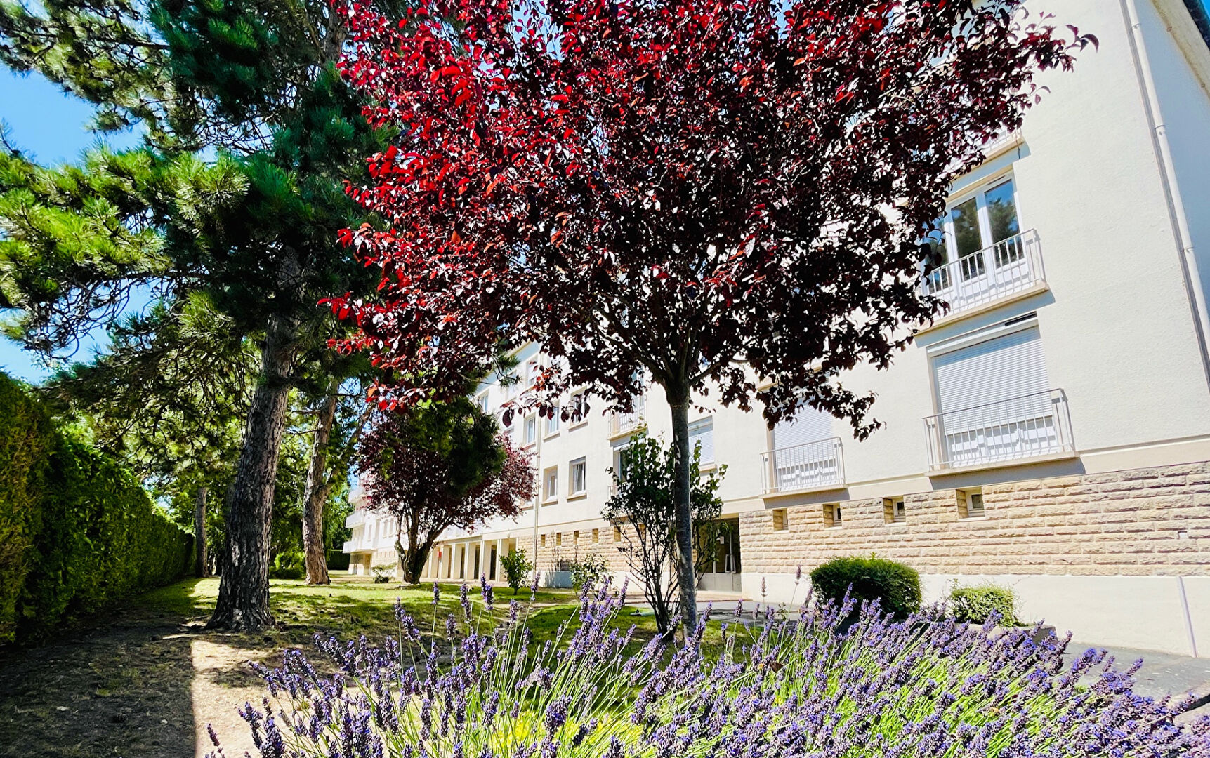 Agence immobilière de BIN - Agence Immobiliere JOLY Caen - Agence Immobiliere JOLY