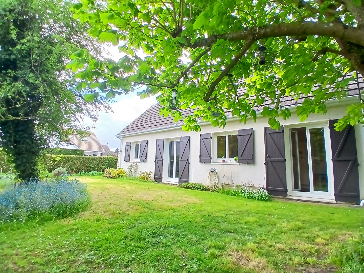Agence immobilière de BIN - Agence Immobiliere JOLY Caen - Agence Immobiliere JOLY
