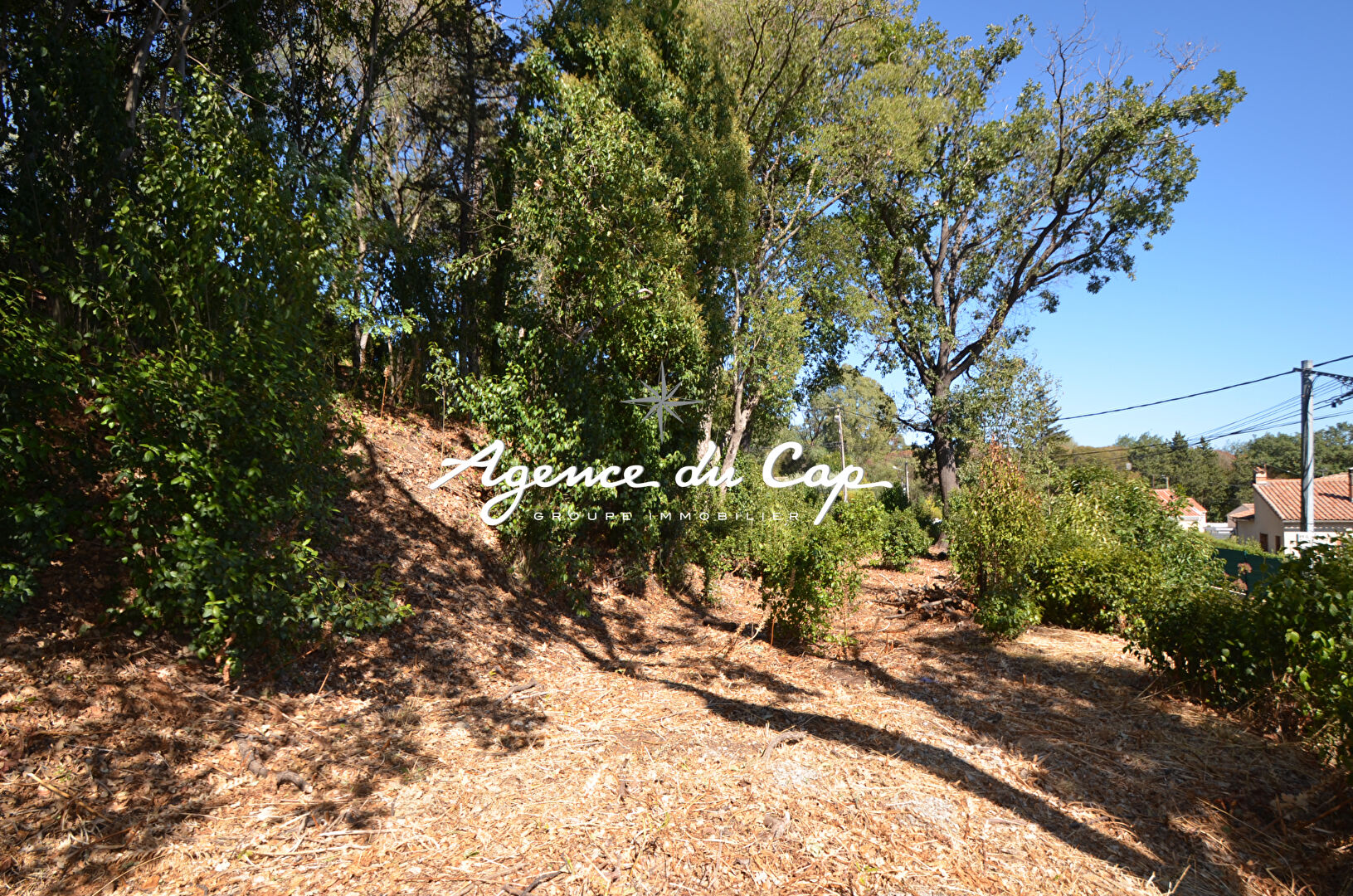 Photo FREJUS PROCHE CENTRE VILLE TERRAIN  constructible de1165 m2 image 2/3