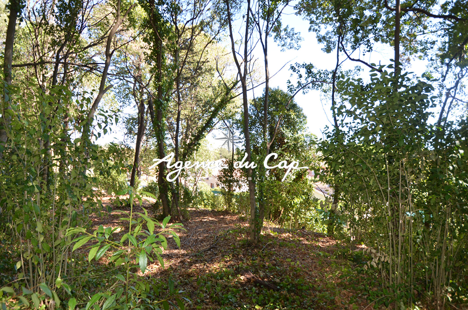 Photo FREJUS PROCHE CENTRE VILLE TERRAIN  constructible de1165 m2 image 3/3
