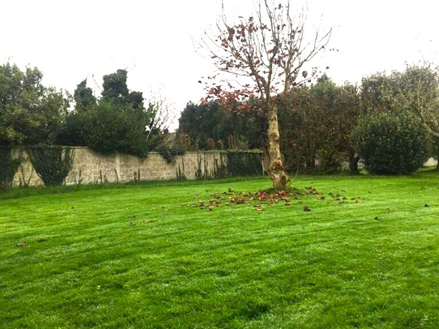 Terrain constructible