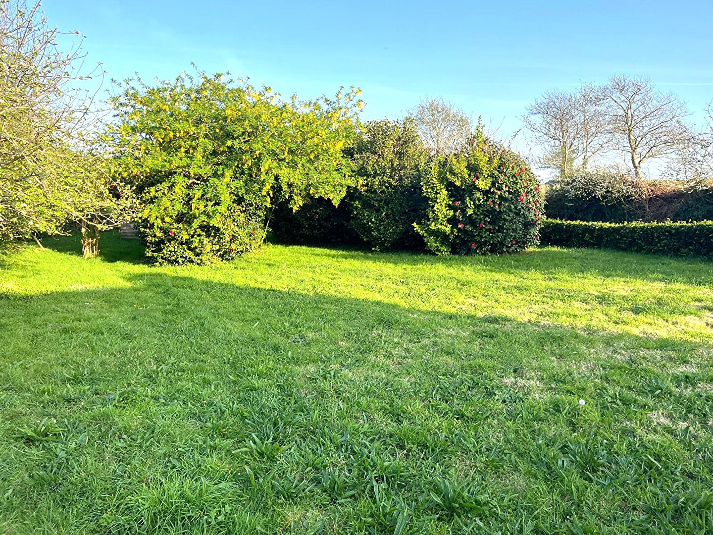 Agence immobilière de A.I.P IMMOBILIER BREST - A.I.P IMMOBILIER PAYS DES ABERS