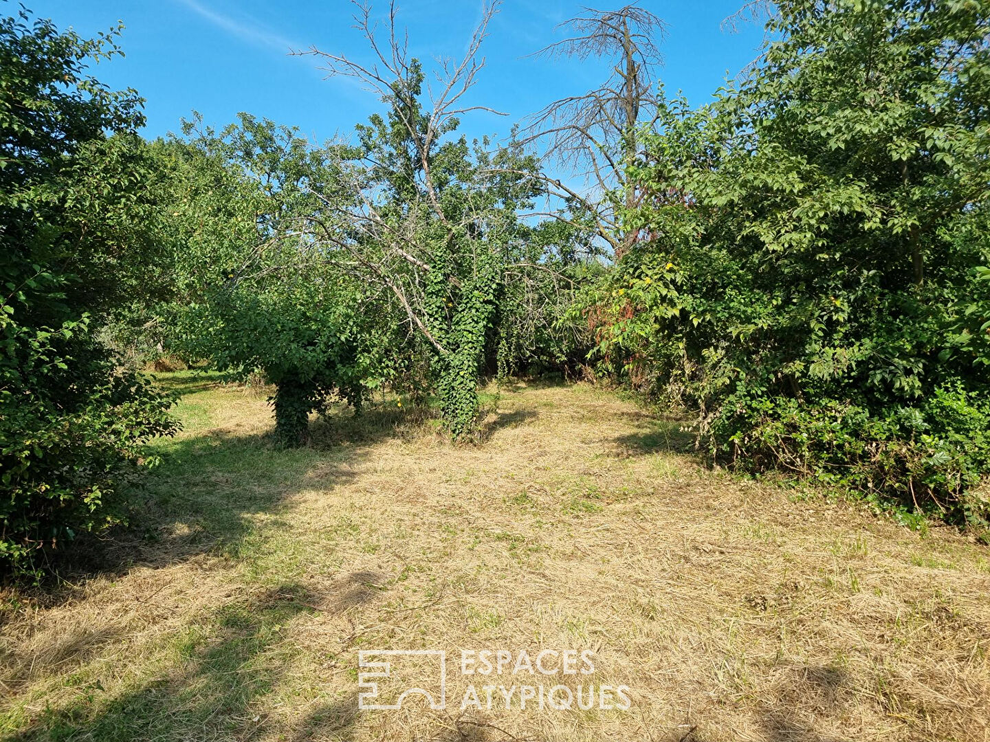 Photo Parcelle à construire libre constructeur image 2/6