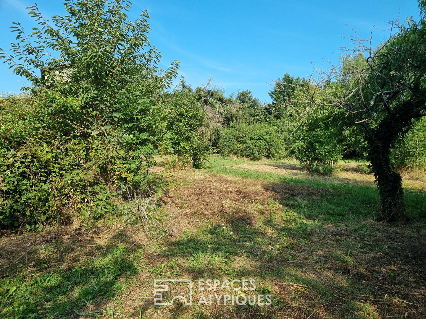 Photo Parcelle à construire libre constructeur image 4/6