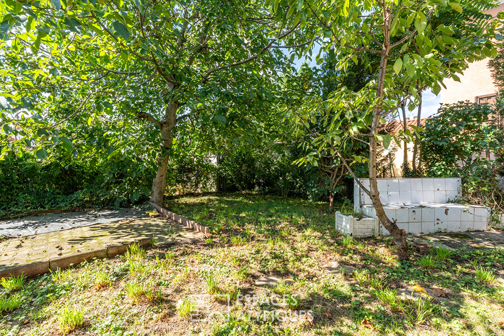 Photo Maison à rénover et son jardin en centre-ville image 3/6