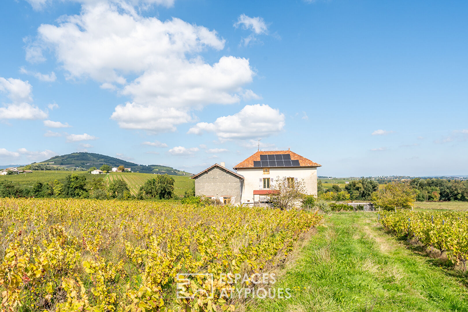Photo Charmante maison au coeur des vignobles du Beaujolais vert image 1/6
