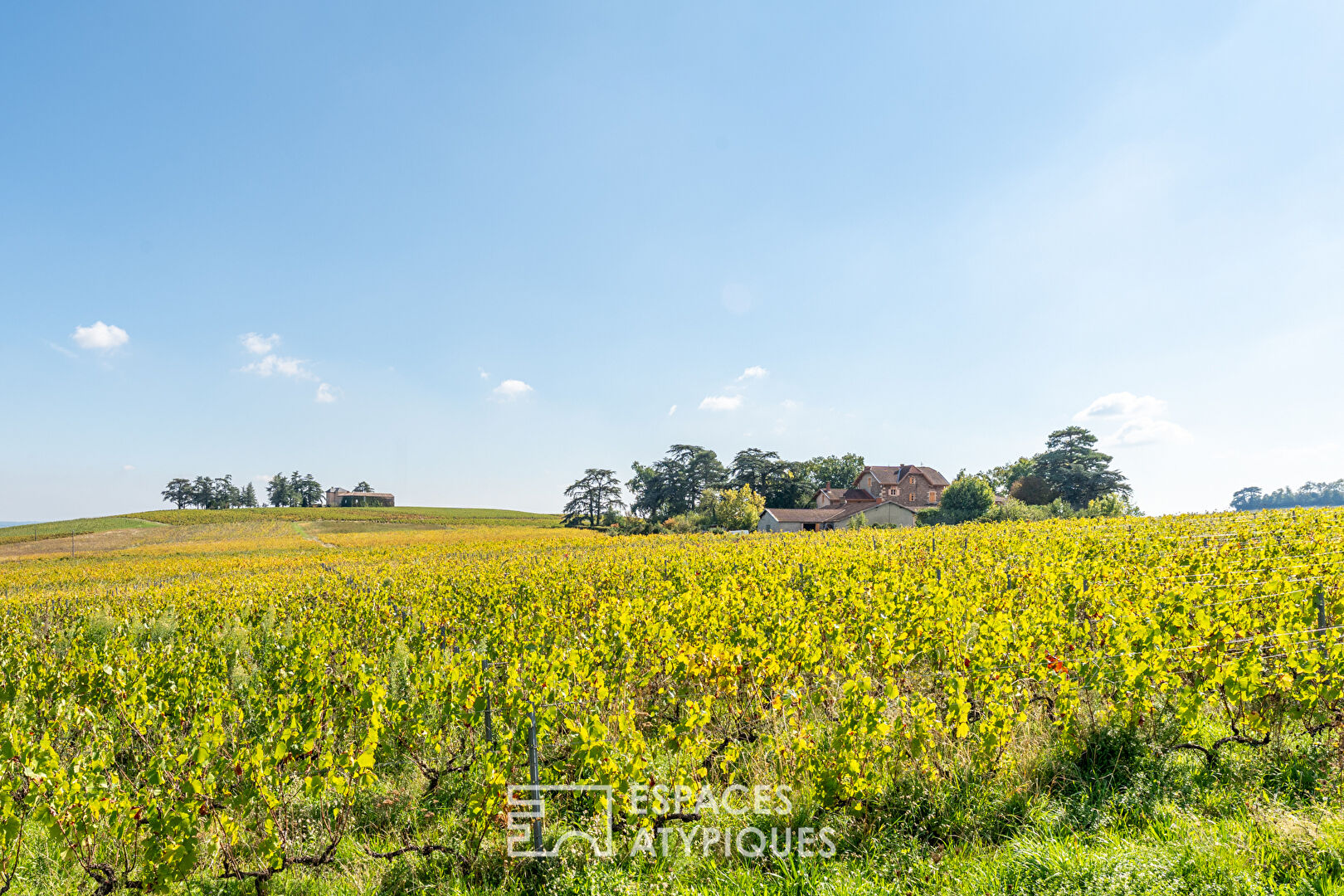 Photo Charmante maison au coeur des vignobles du Beaujolais vert image 3/6