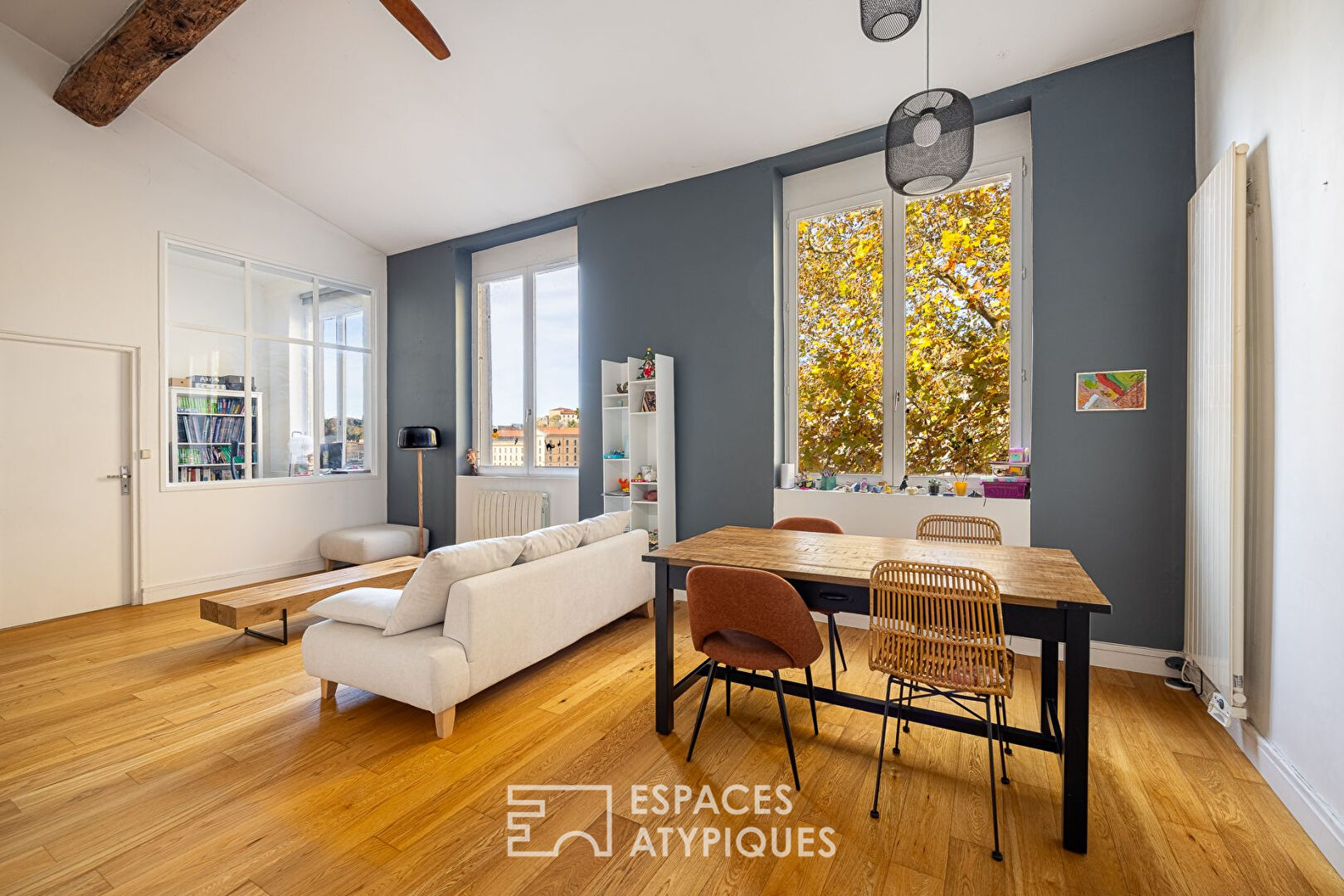 Photo Duplex meublé et équipé avec vue Saône image 4/6