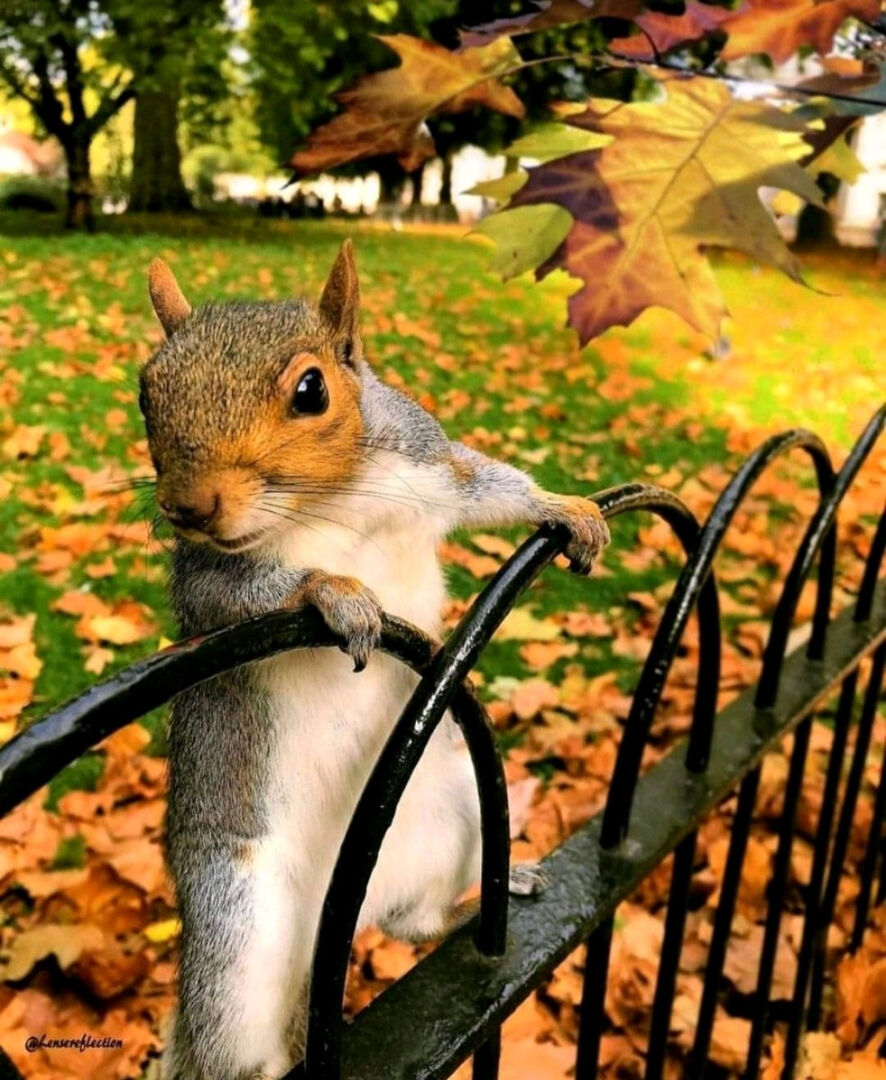 Agence immobilière de GROUPE LEGENDRE IMMOBILIER - GROUPE LEGENDRE IMMOBILIER - HERBLAY SUR SEINE