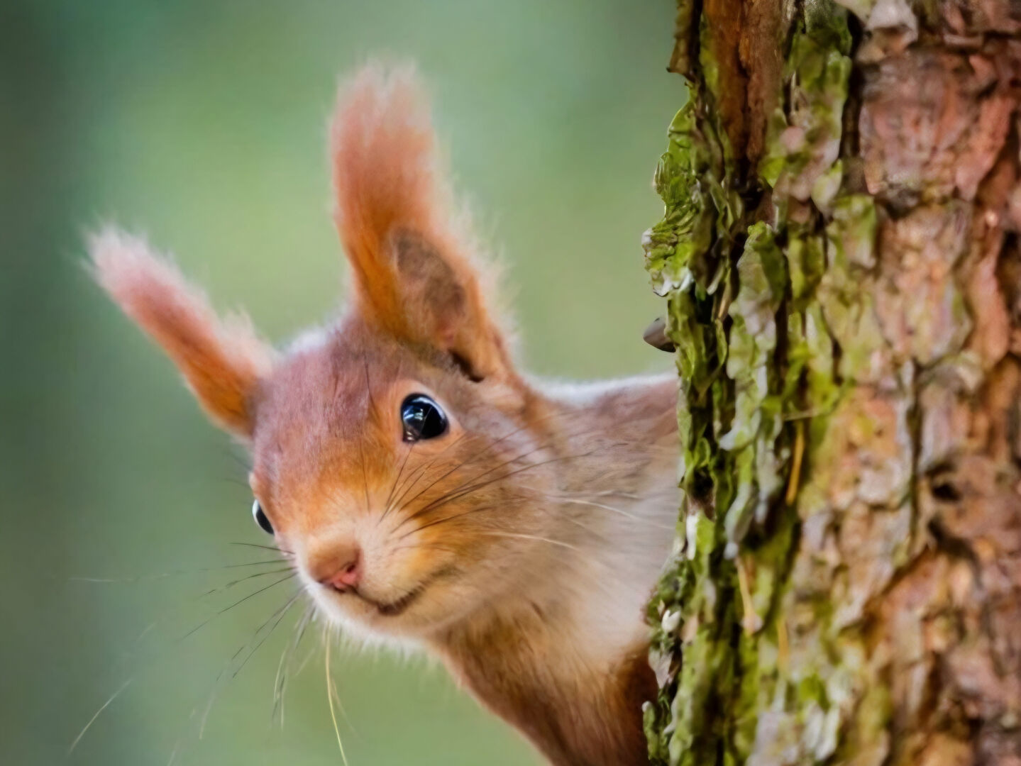 Agence immobilière de GROUPE LEGENDRE IMMOBILIER - GROUPE LEGENDRE IMMOBILIER - HERBLAY SUR SEINE