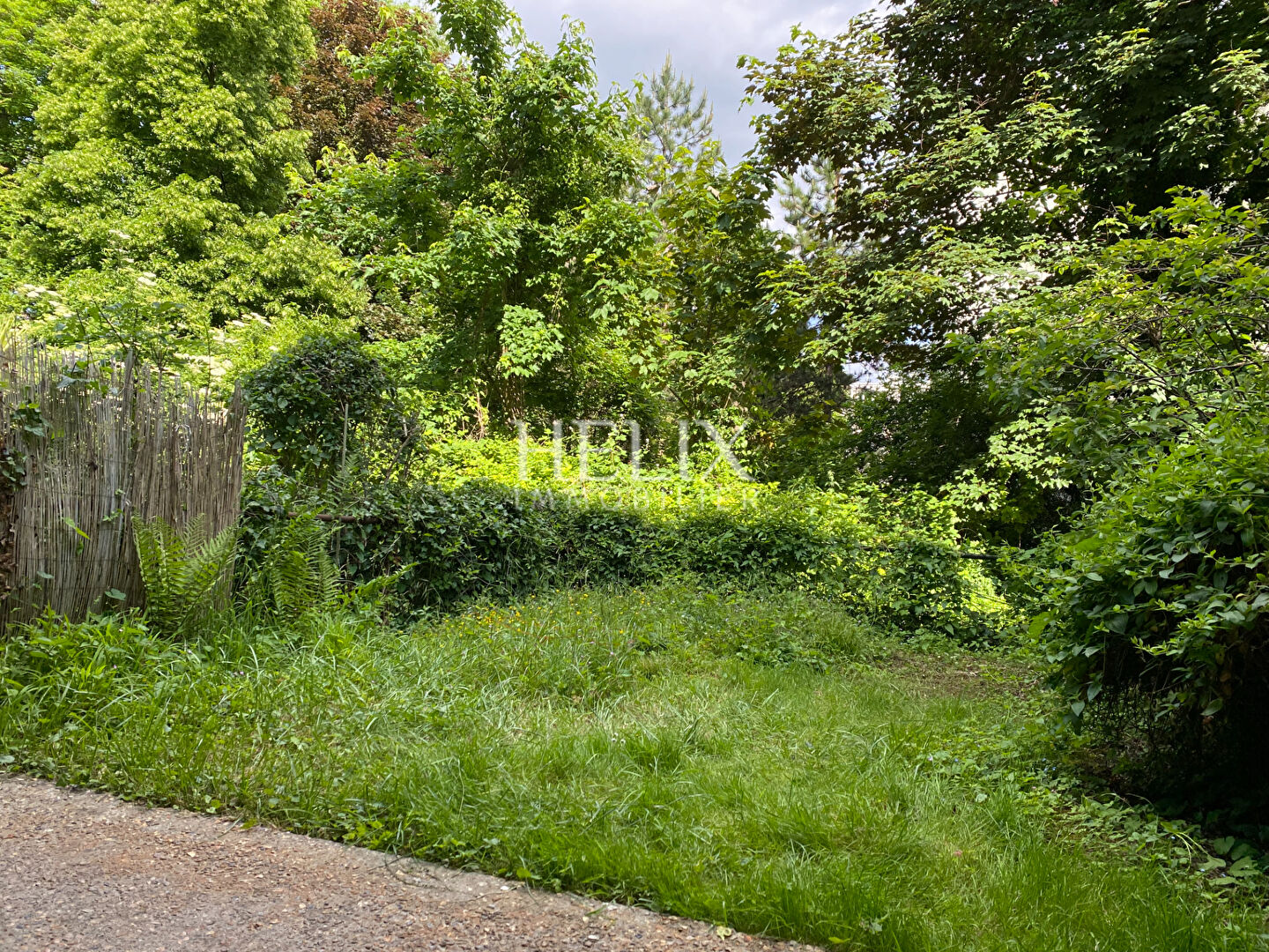 Photo Spacieux studio avec terrasse et jardin privatif de 40m2 image 5/6