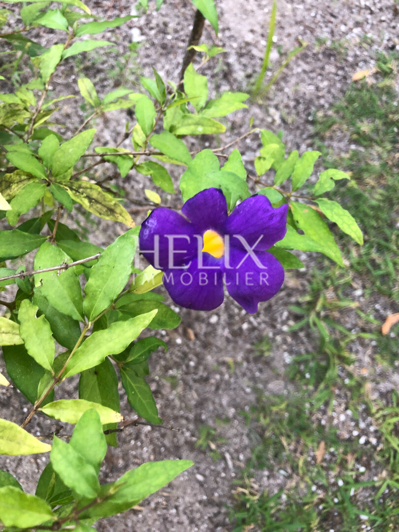 Agence immobilière de HELIX IMMOBILIER - HELIX IMMOBILIER SAINT GERMAIN EN LAYE