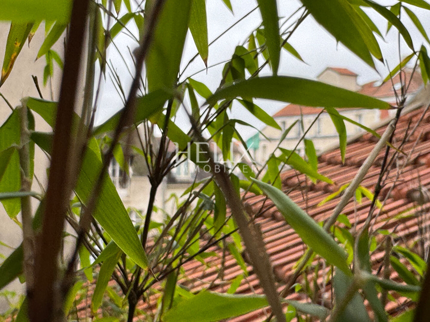 Photo Très bel appartement 5 pièces à Saint-Germain-en-Laye, proche RER A , Place du Marché image 6/6