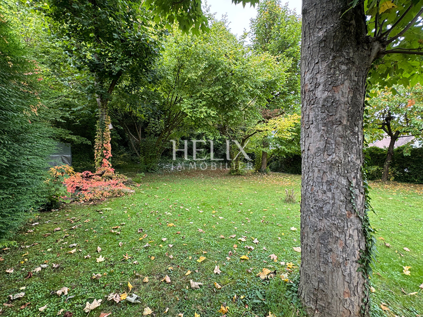 Photo Magnifique maison, jardin boisé couleurs et écureuils à10' gare de Villenes-sur-Seine image 5/6