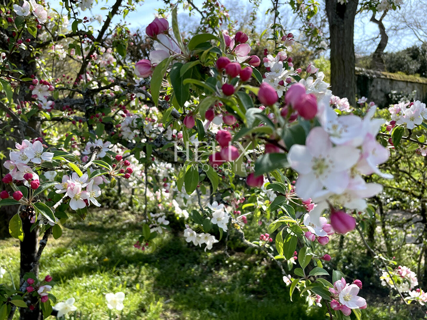 Photo Appartement 3 pièces en duplex 53,56 M² dans un immeuble ancien à Marly-le-Roi. image 4/6