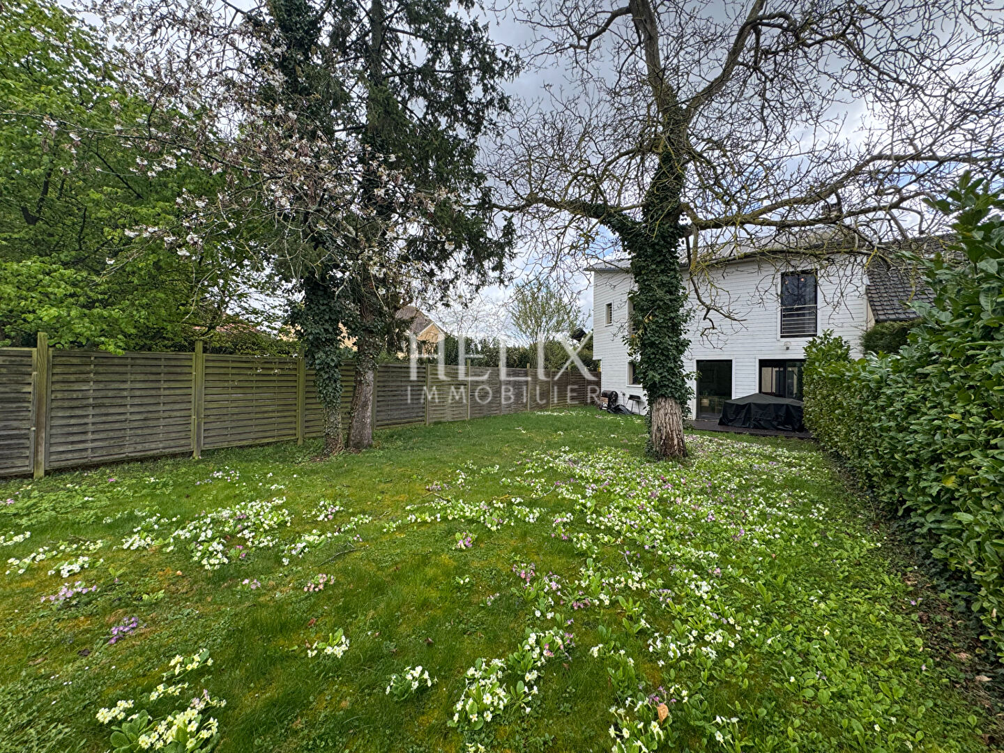 Agence immobilière de HELIX IMMOBILIER - HELIX IMMOBILIER SAINT GERMAIN EN LAYE