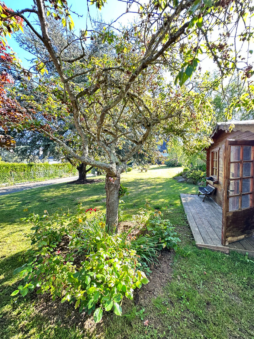 Agence immobilière de KASSIOPÉE