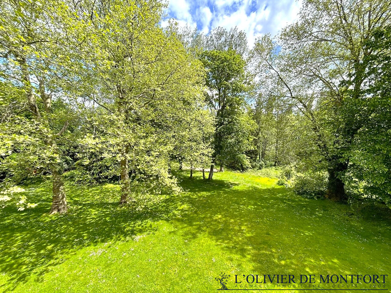 Photo Maison de maître de 8 pièce(s) 635 m2 image 6/6