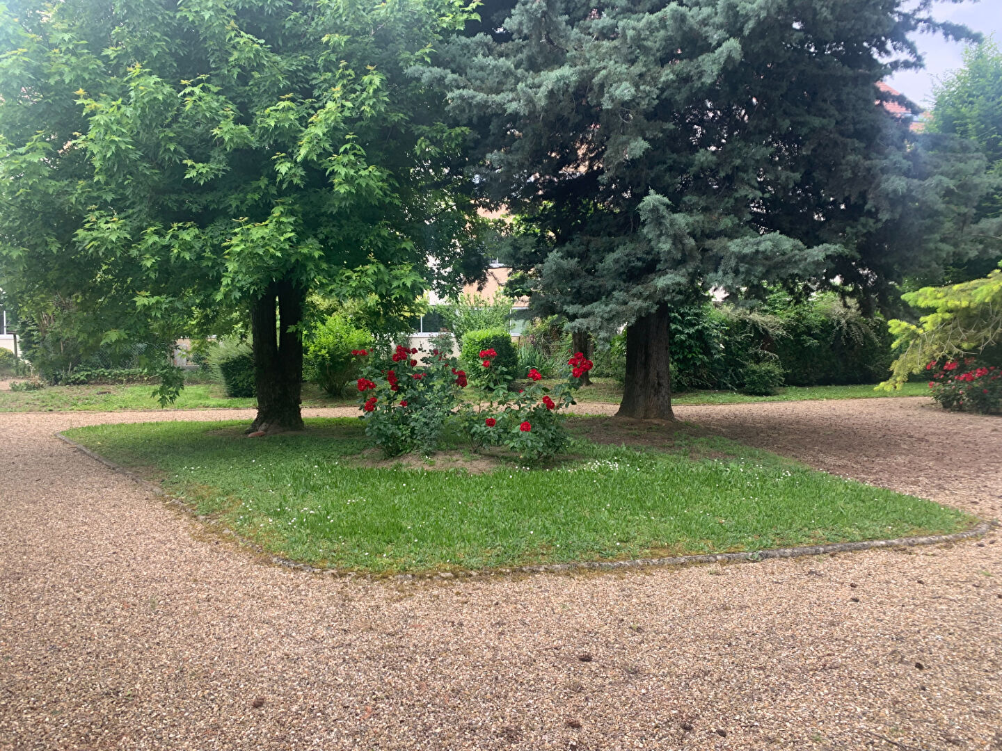 Photo Appartement image 5/6