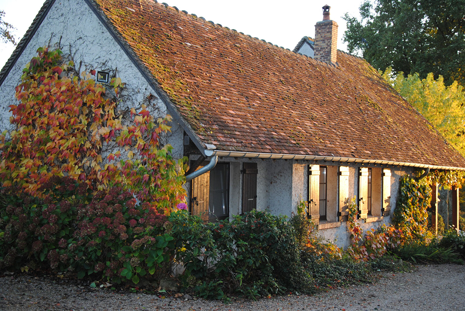 Photo Maison Perrigny Sur Loire 7 pièce(s) 150 m2 image 4/6