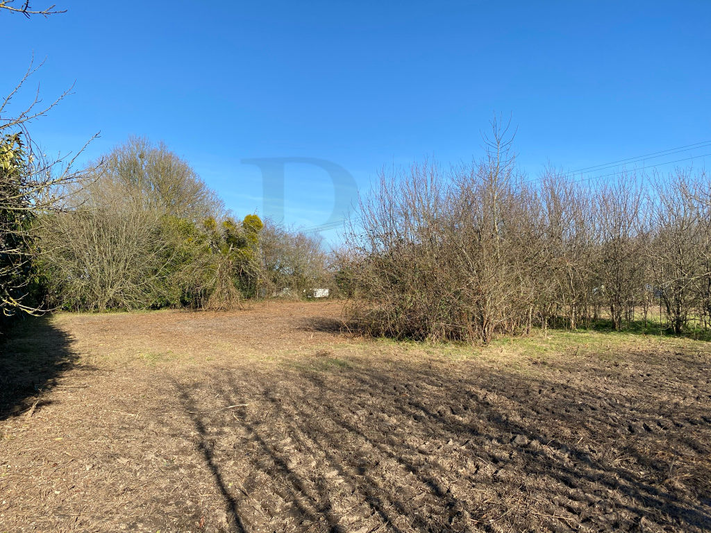 Photo Axe Trun -Vimoutiers -Terrain constructible image 3/6