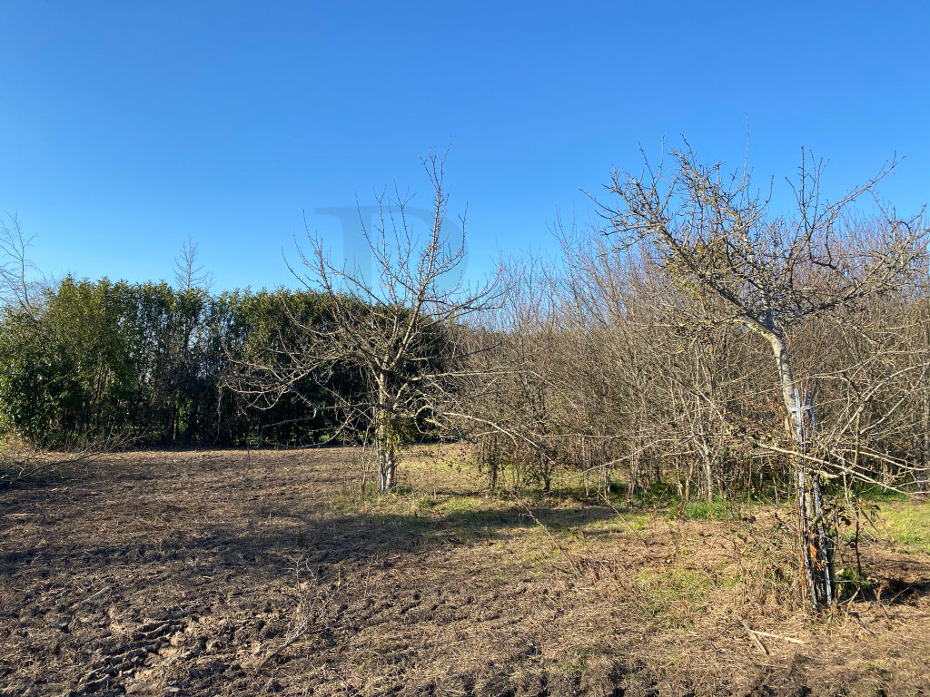 Photo Axe Trun -Vimoutiers -Terrain constructible image 6/6