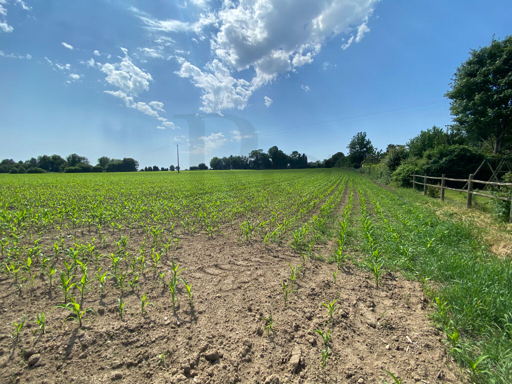 Terrain à bâtir DURCET
