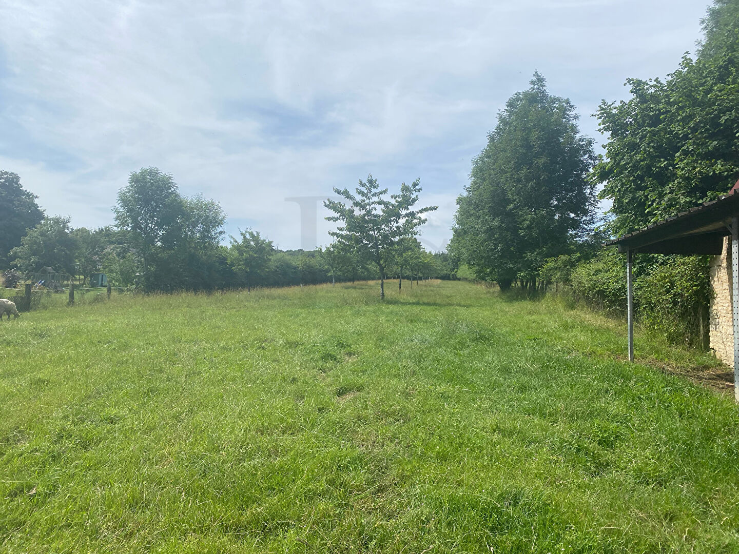 Photo Axe ARGENTAN - TRUN Terrain à vendre 10 minutes d'Argentan image 2/3