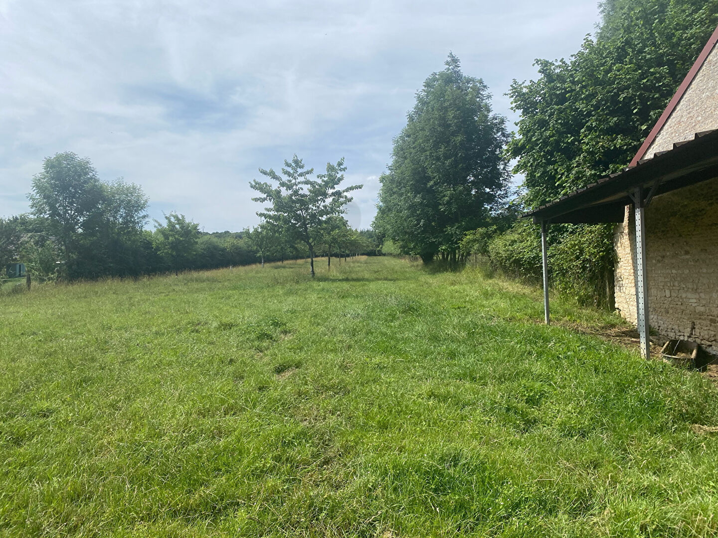 Photo Axe ARGENTAN - TRUN Terrain à vendre 10 minutes d'Argentan image 3/3