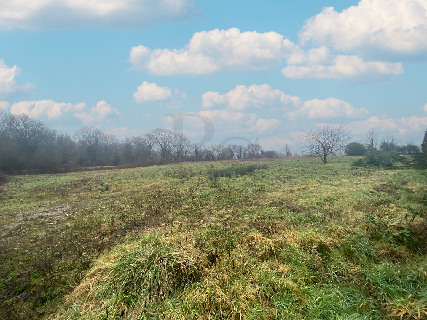 Photo MONTABARD Terrain constructible à vendre image 2/2