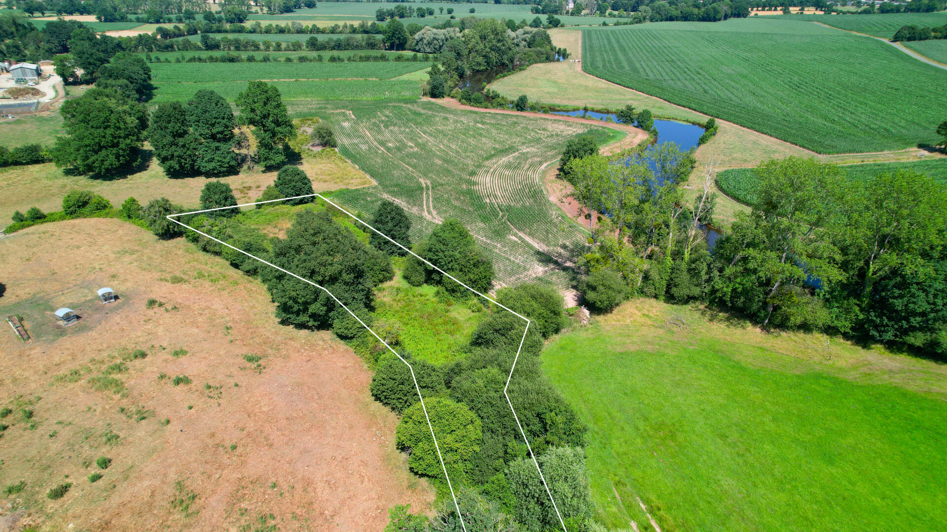 Photo Exclusivité RS : Maison 3 chambres + dépendances sur 2,3 ha avec vue dégagée Juvigny Val d'Andaine image 3/6