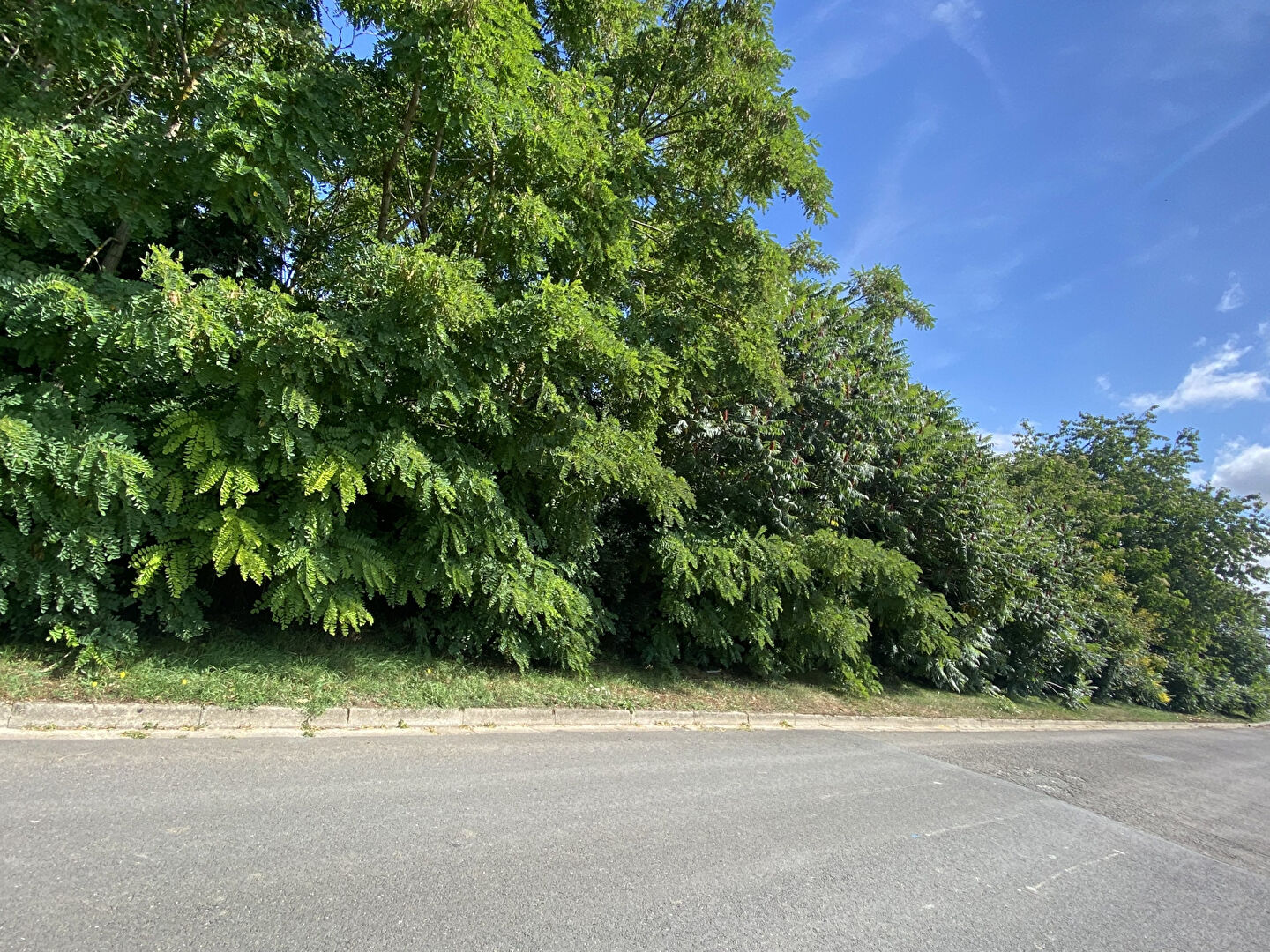 FALAISE -Terrain de 3 253 m²