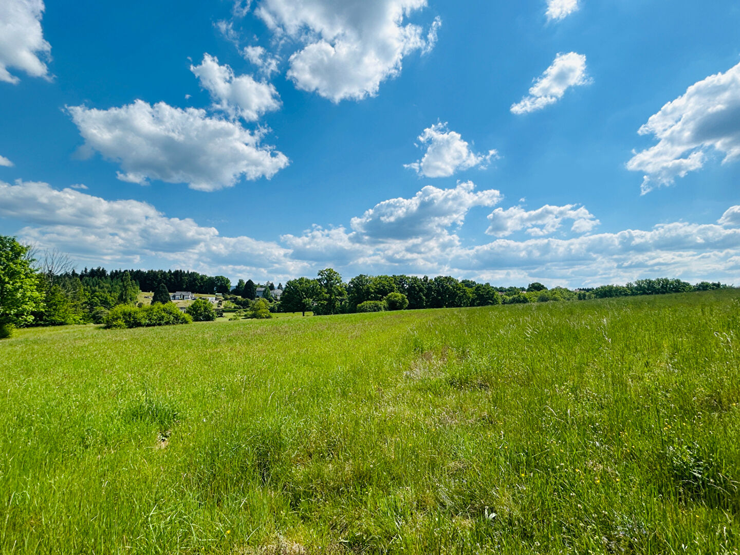 Agence immobilière de FIPE - TOPIMMO - Saint-Dié