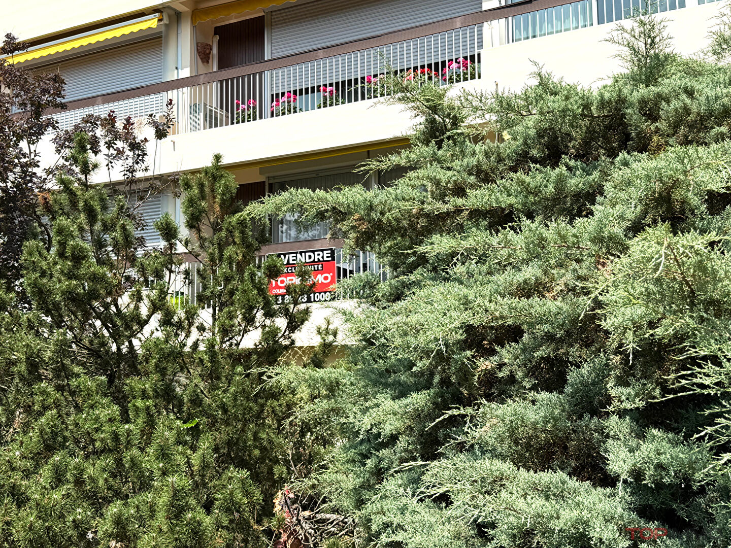 Photo Appartement Colmar 4 pièce(s) image 4/6