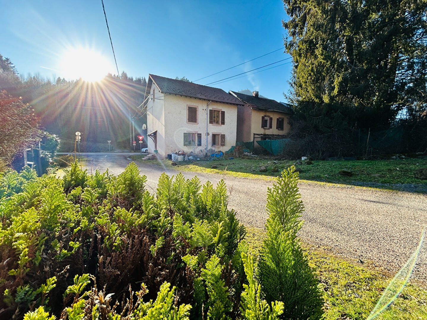 Agence immobilière de FIPE - TOPIMMO - Saint-Dié