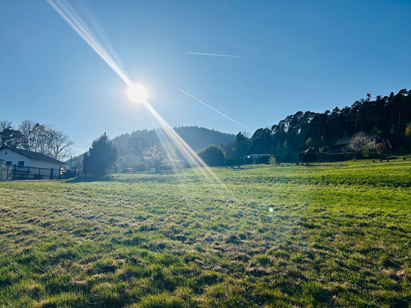 Agence immobilière de FIPE - TOPIMMO - Saint-Dié