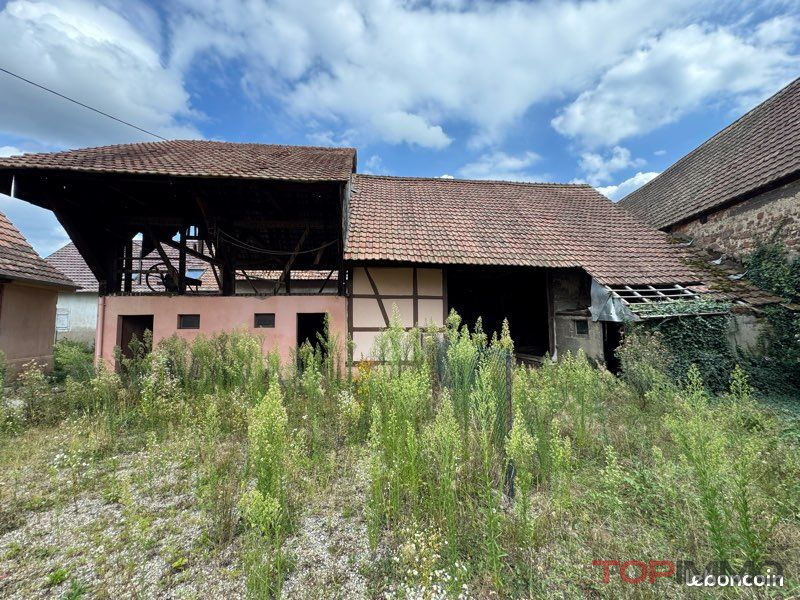 Agence immobilière de TOPIMMO - Mulhouse