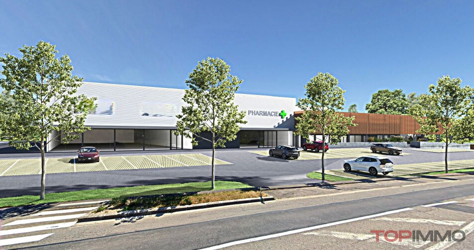 Locaux commerciaux Dannemarie