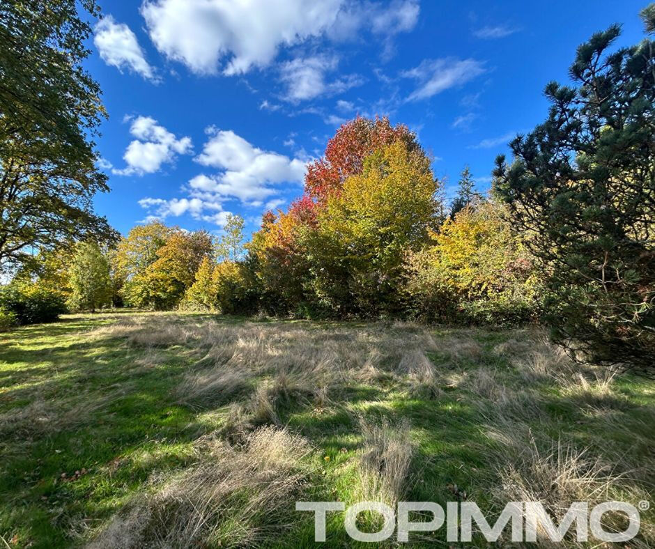 Agence immobilière de FIPE - TOPIMMO - Saint-Dié