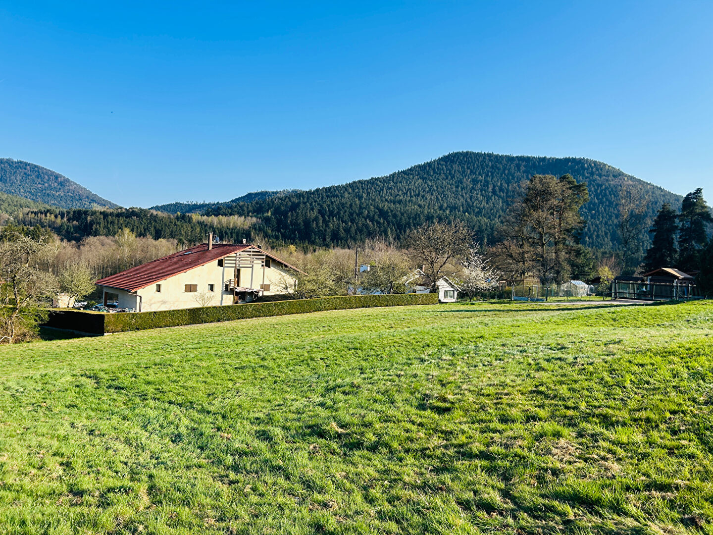 Agence immobilière de FIPE - TOPIMMO - Saint-Dié