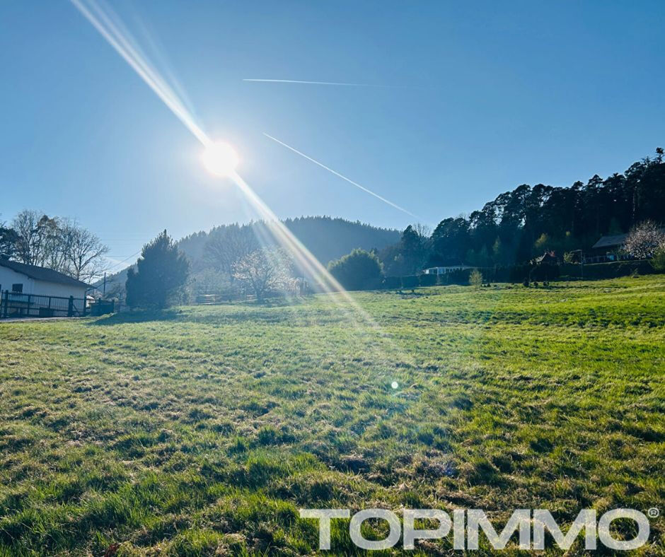 Agence immobilière de FIPE - TOPIMMO - Saint-Dié