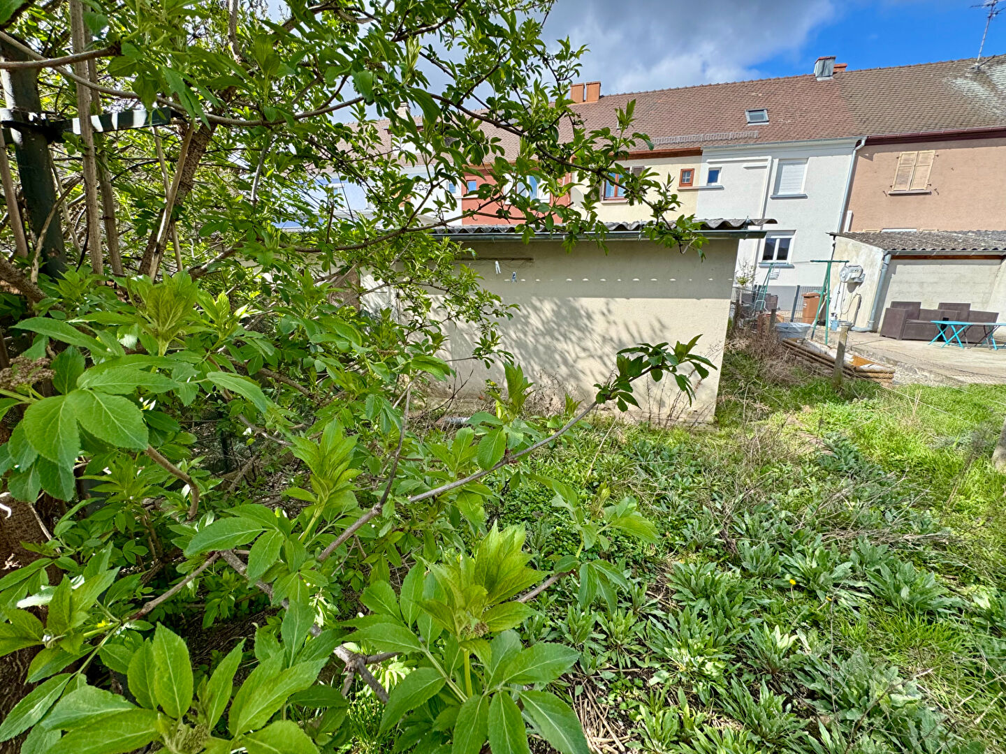 Agence immobilière de TOPIMMO - Colmar Sud