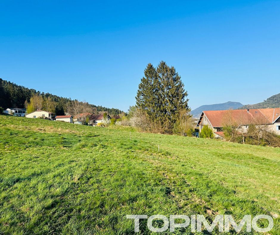 Agence immobilière de FIPE - TOPIMMO - Saint-Dié