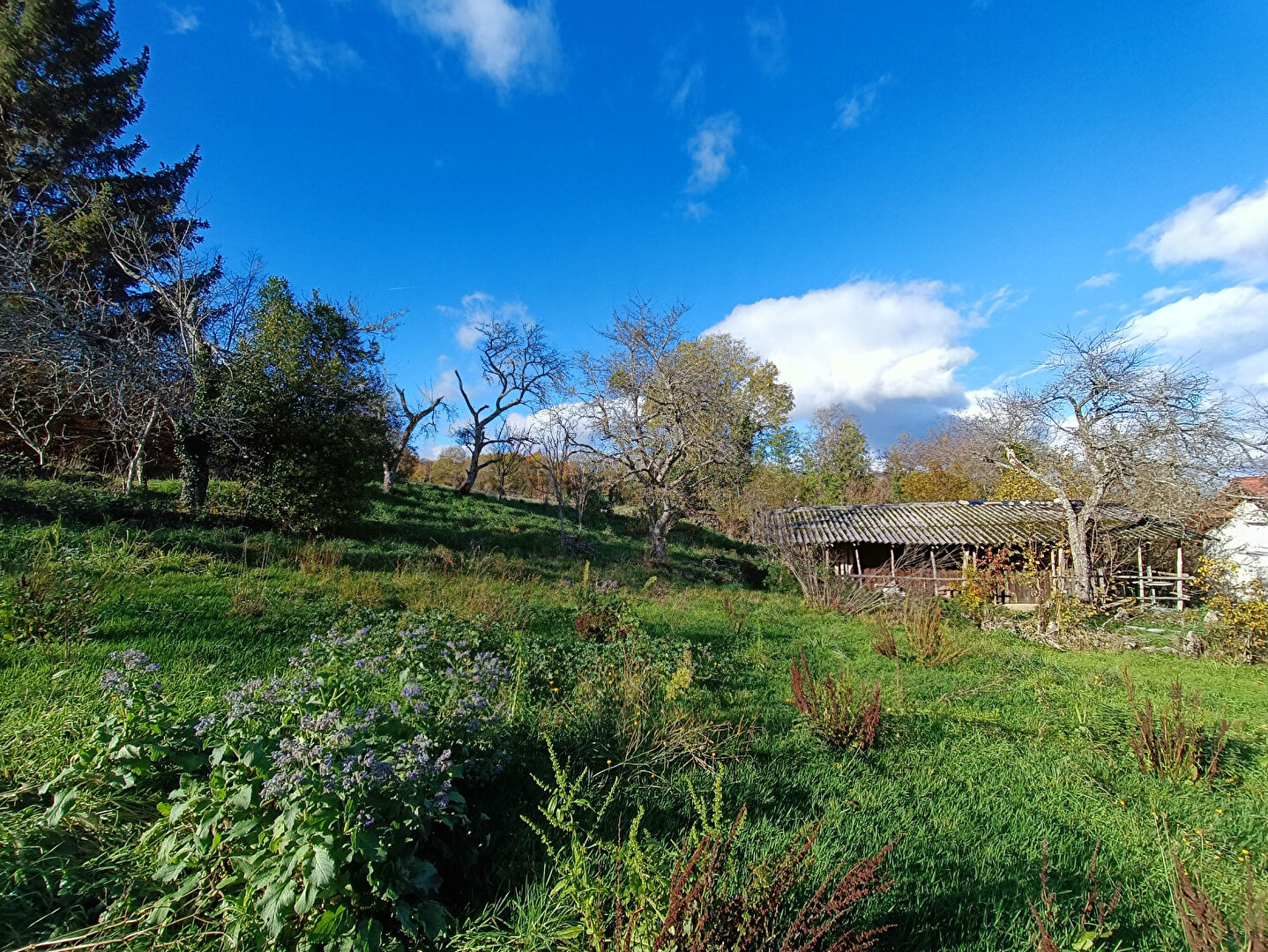 TERRAIN A VENDRE A SAVIGNY (74520) 1764 m²