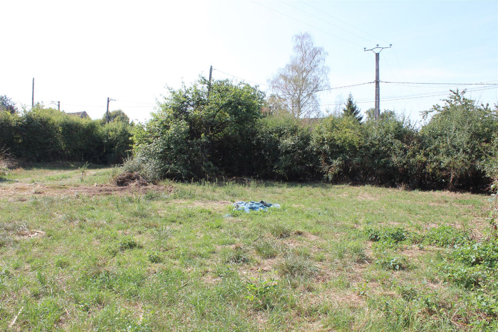 Photo Terrain Venouse 1054 m2 image 1/6