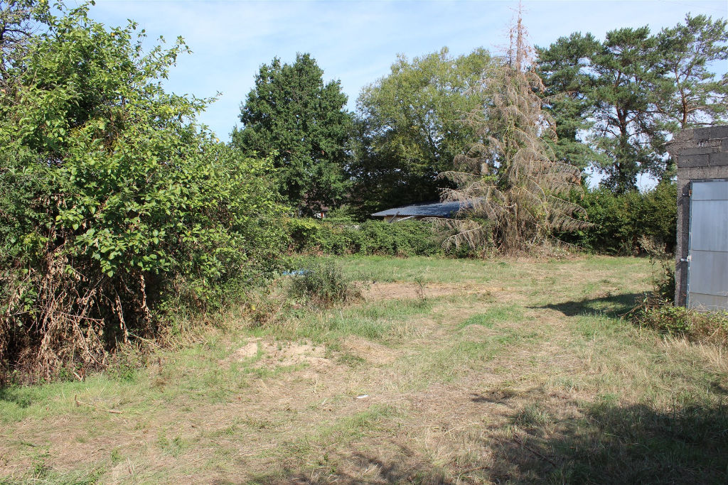 Photo Terrain Venouse 1054 m2 image 2/6