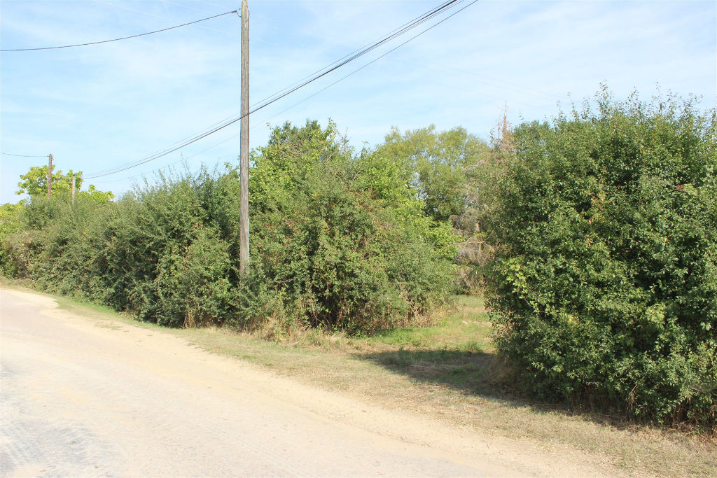 Photo Terrain Venouse 1054 m2 image 3/6