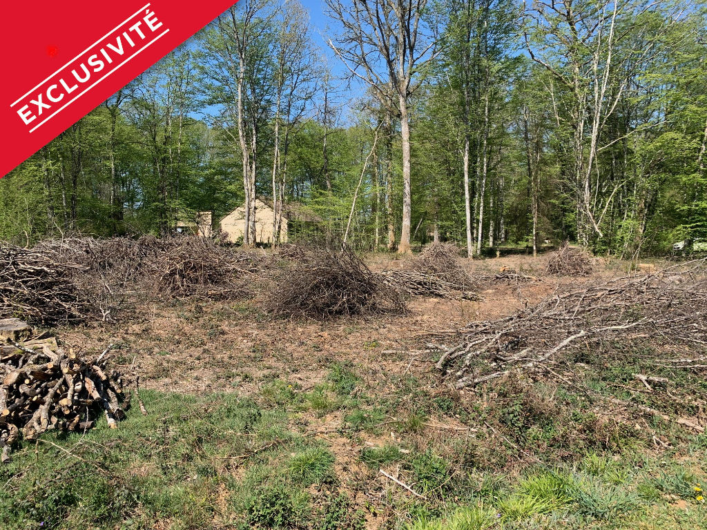 Terrain St Fargeau 1982 m2 en pleine nature - 1h45 Paris