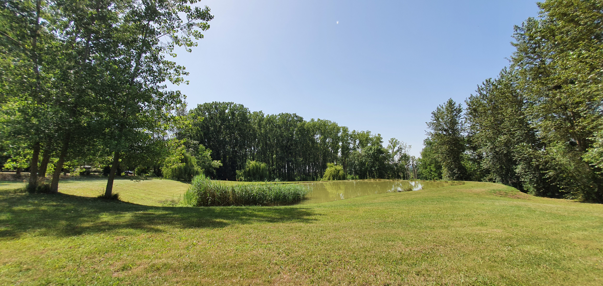 Photo Secteur SANCERRE,  belle propriété composée de 2 maisons sur un terrain 11hectares image 4/6