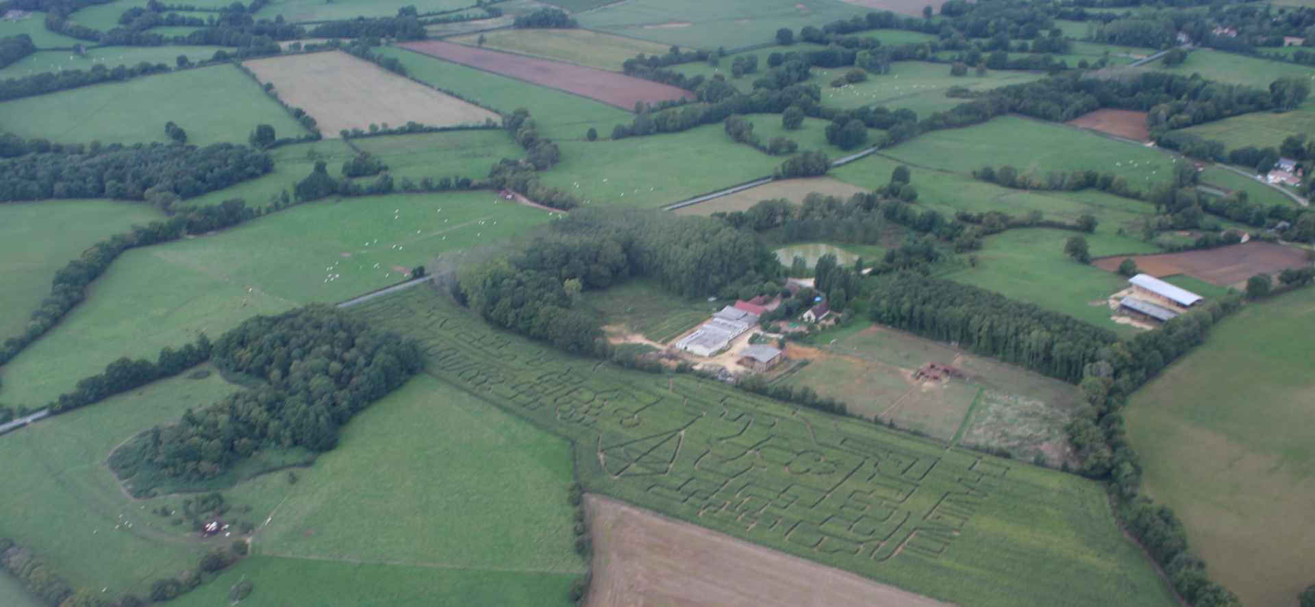 Photo Secteur SANCERRE,  belle propriété composée de 2 maisons sur un terrain 11hectares image 5/6